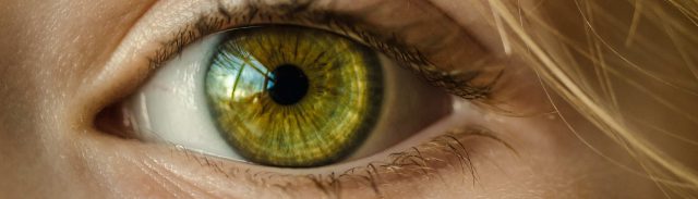 Chiropraktik und Optometrie Nahaufnahme eines grünen Auges.