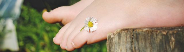Nahaufnahme von einem nackten Füßen auf einem Holzstamm. Zwischen dem kleinen Zeh steckt ein Gänseblümchen.