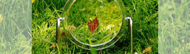 Frühlingsgefühle genießen mit Chiropraktik und Bioresonanz Ein kleiner, silberfarbener Spiegel steht im Gras. Das Gras spiegelt sich wider.