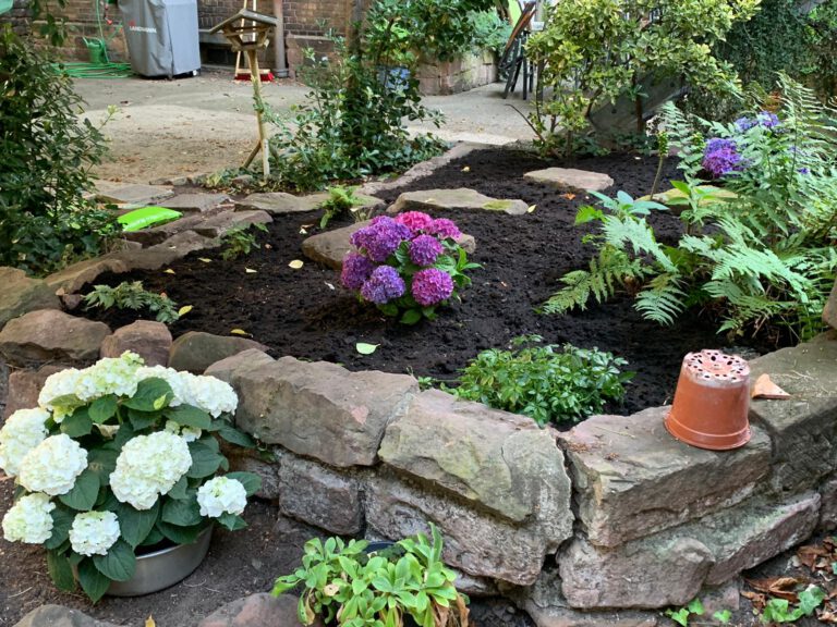 Steinblumenbeet mit einer Steinmauer. In dem Bett sind lilafarbene Hortensien sowie verschiedene Farnpflanzen.