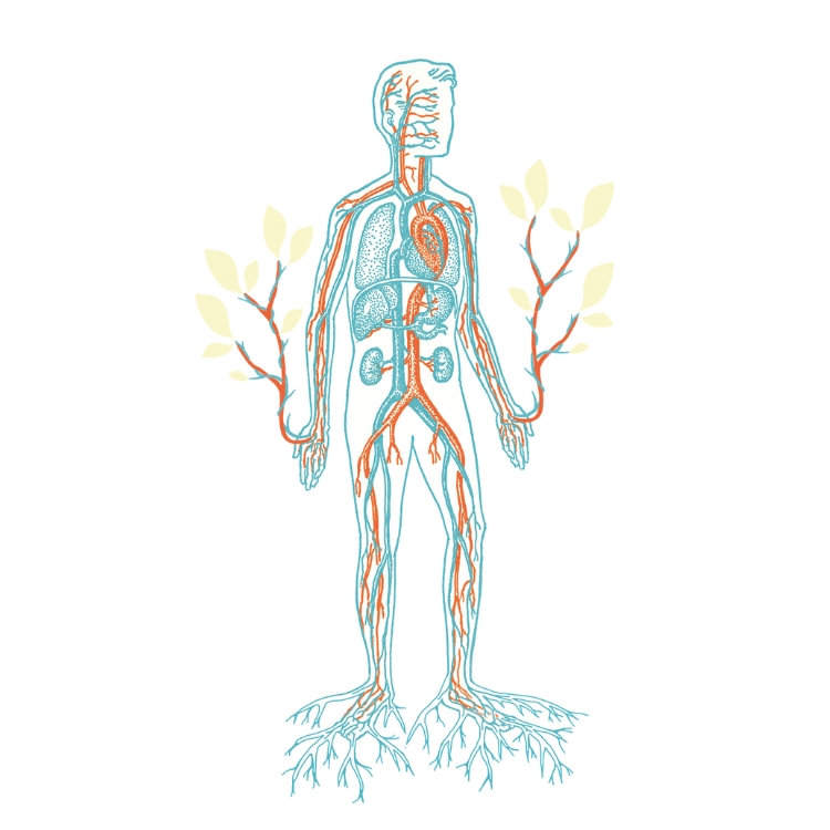 Das Bild veranschaulicht einen menschlichen Körper, der mit seiner Umwelt (buchstäblich) verwurzelt ist.